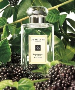 Alternative view of Jo Malone London Blackberry & Bay Cologne 100 ML Unisex Parfüm