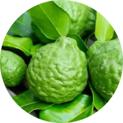 Bergamot