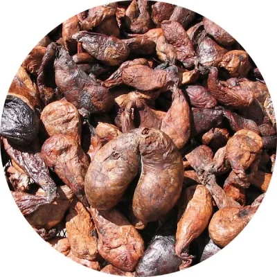 Castoreum