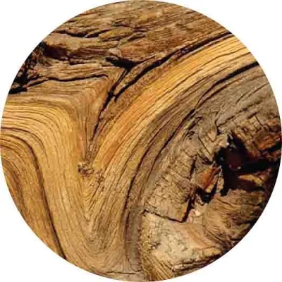 Guaiac ağacı