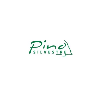 Pino Silvestre