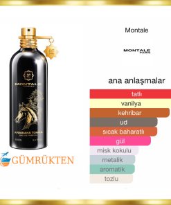 Alternative view of Montale Arabians Tonka EDP 100 ML Unisex Parfüm