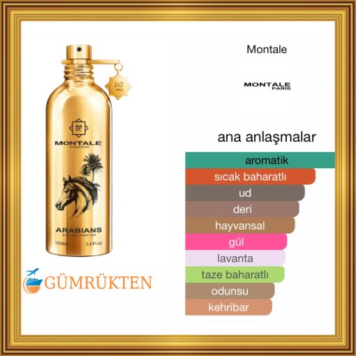 Montale Paris Arabians EDP 100 ML Unisex Parfüm - Görsel 2