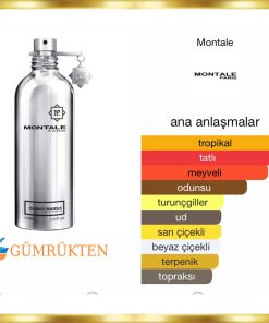 Alternative view of Montale Paris Mango Mango EDP 100 ML Unisex Parfüm