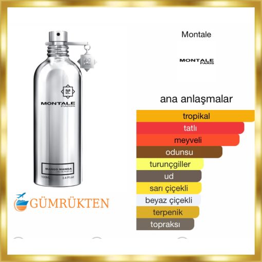 Montale Paris Mango Mango EDP 100 ML Unisex Parfüm - Görsel 2