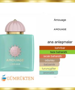 Alternative view of Amouage Lineage EDP 100 ML Unisex Parfüm