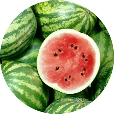 Karpuz
