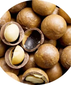 Macadamia