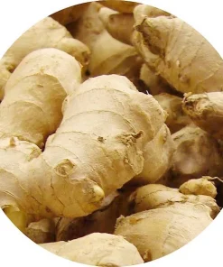 Zencefil