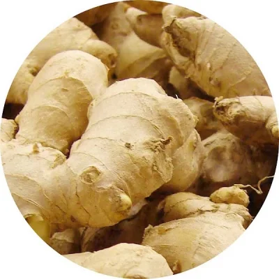 Zencefil