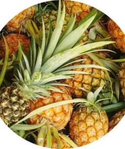 Ananas