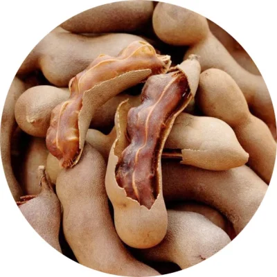 Demirhindi