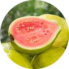 Guava