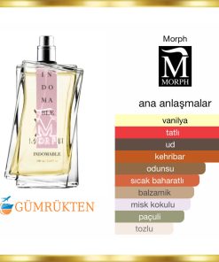 Alternative view of Morph Indomable EDP 100 ML Unisex Parfüm