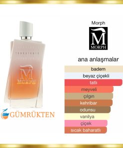 Alternative view of Morph Tonkatonic EDP 100 ML Unisex Parfüm