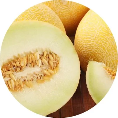 Kavun