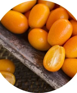 Kumkuat