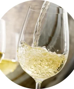 Malvasia