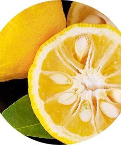Yuzu