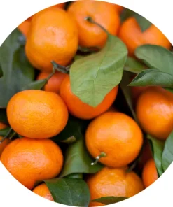 mandalina