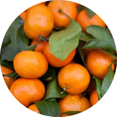 mandalina