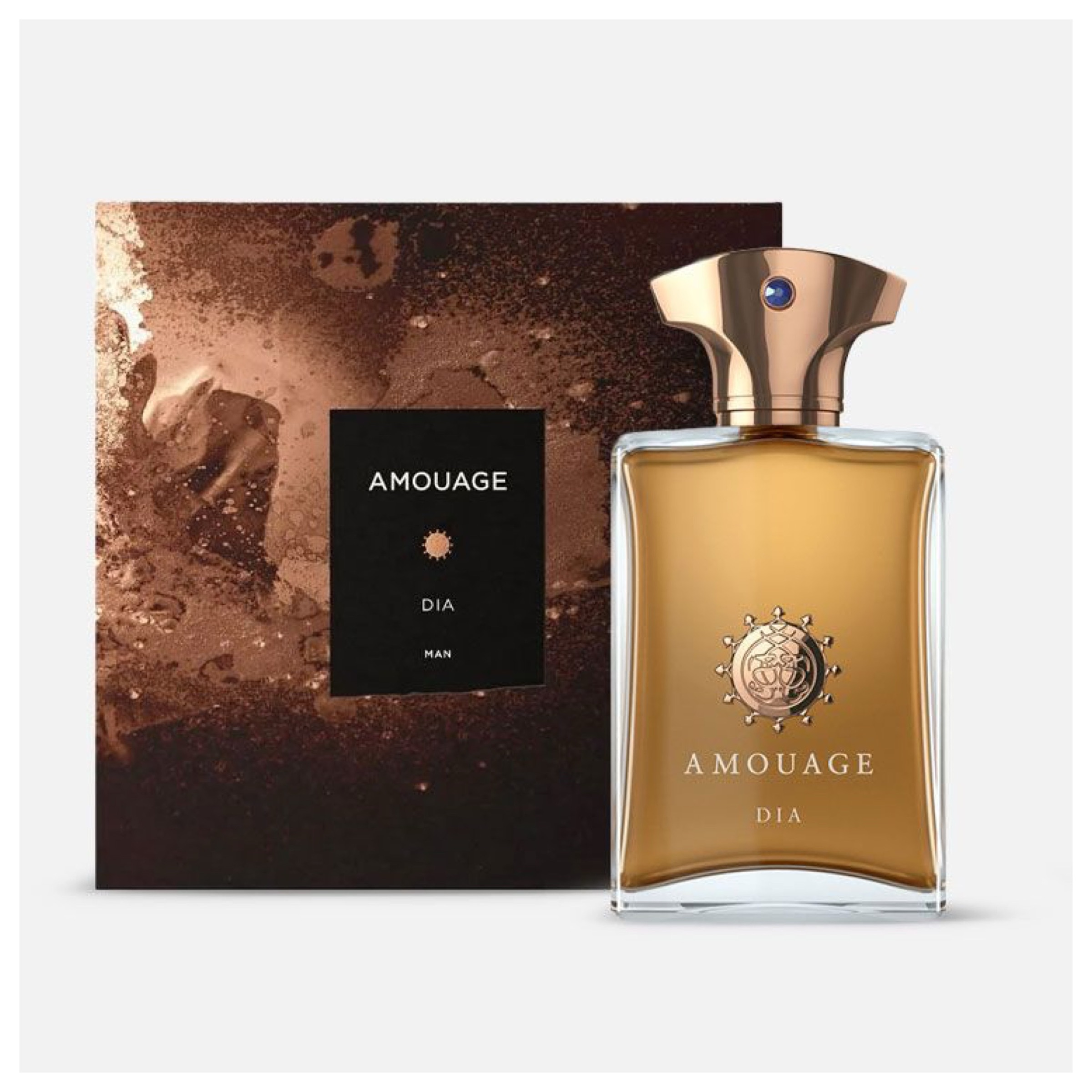 Amouage Dia Man EDP 100 ML Erkek Parfüm